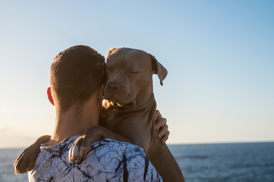 How to Get an Emotional Support Animal 1 Emotional support animal and human