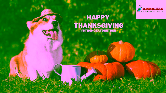 Thanksgiving Recipes For Your Emotional Support Dog 1 pump 1