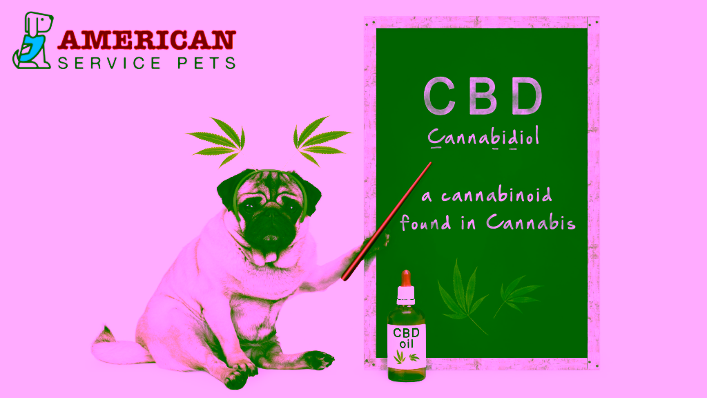 CBD Supplements For Pets - What's the Hype 3 Untitled design 42