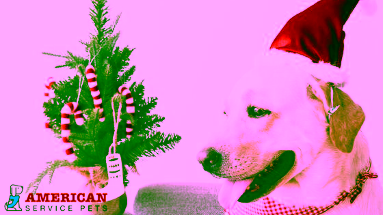 Emotional Support Animals Make Christmas 6 Untitled design 65