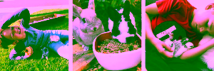 Dogs and Rabbits: We love them all! 19 pebbles only 1