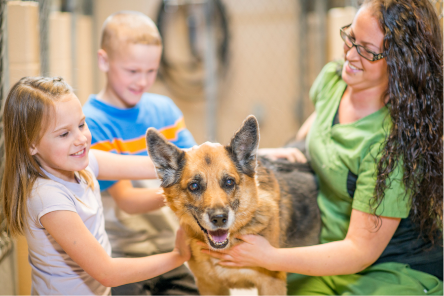 What are the steps to adopt an ESA and get the necessary documentation?