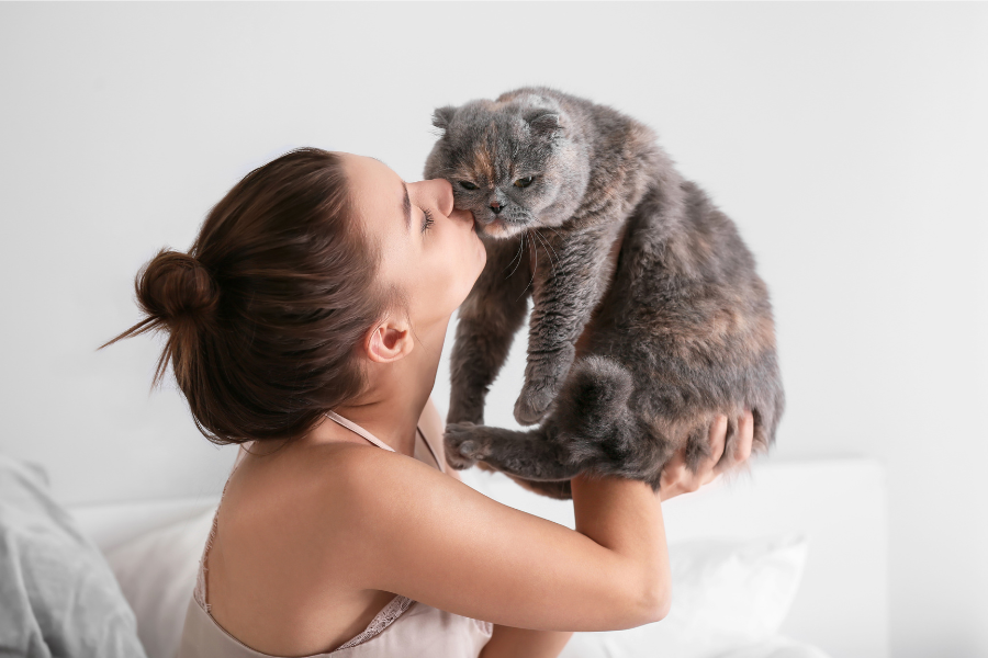 Getting an Emotional Support Cat for Anxiety