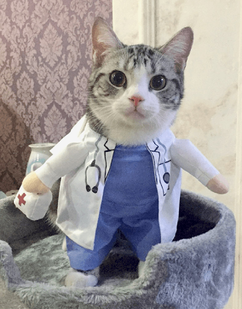 Dr. Meow