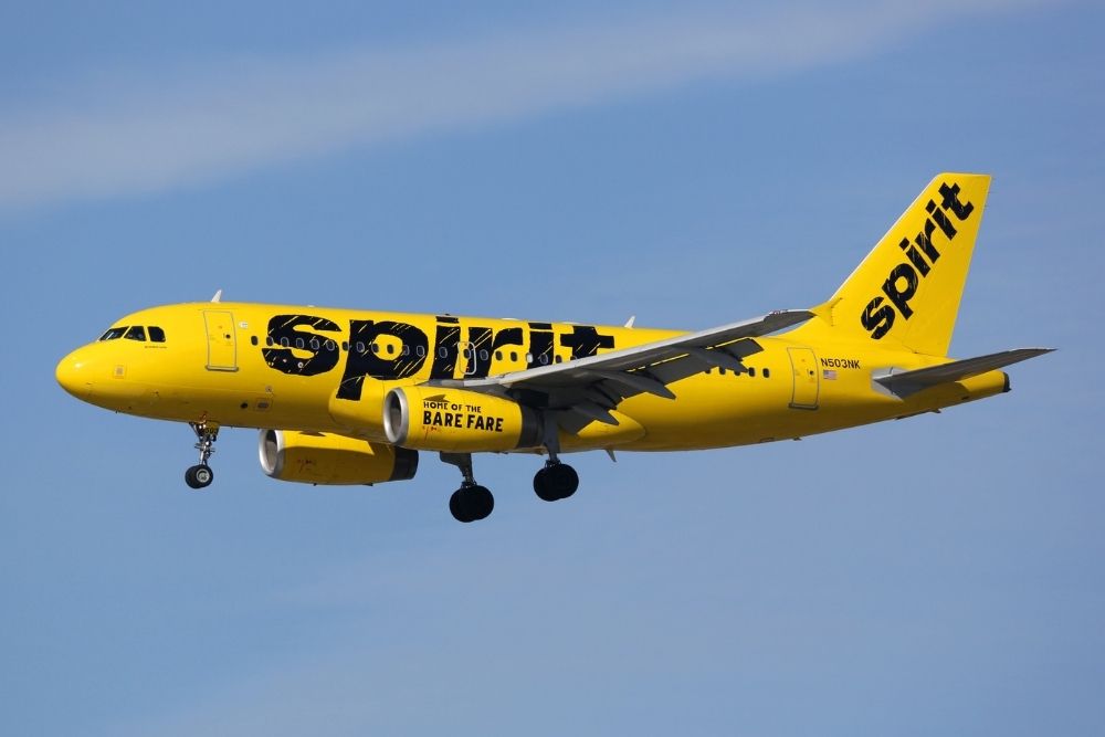 Spirit and Frontier Airlines Emotional Support Animal Policy