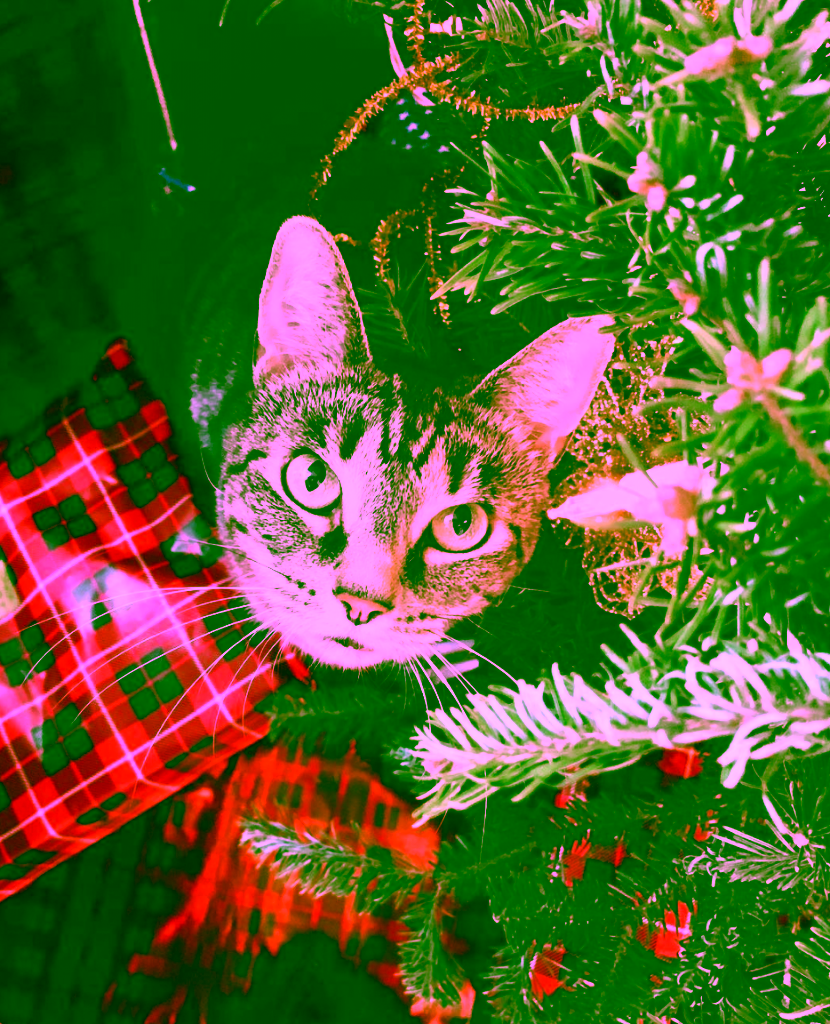 Tips to Keep Your Pet Safe and Enjoy the Holidays