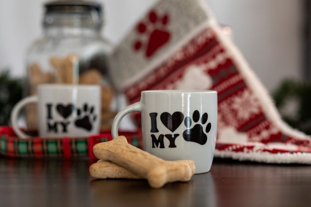 9 Ways to Include Your Pet in Holiday Traditions