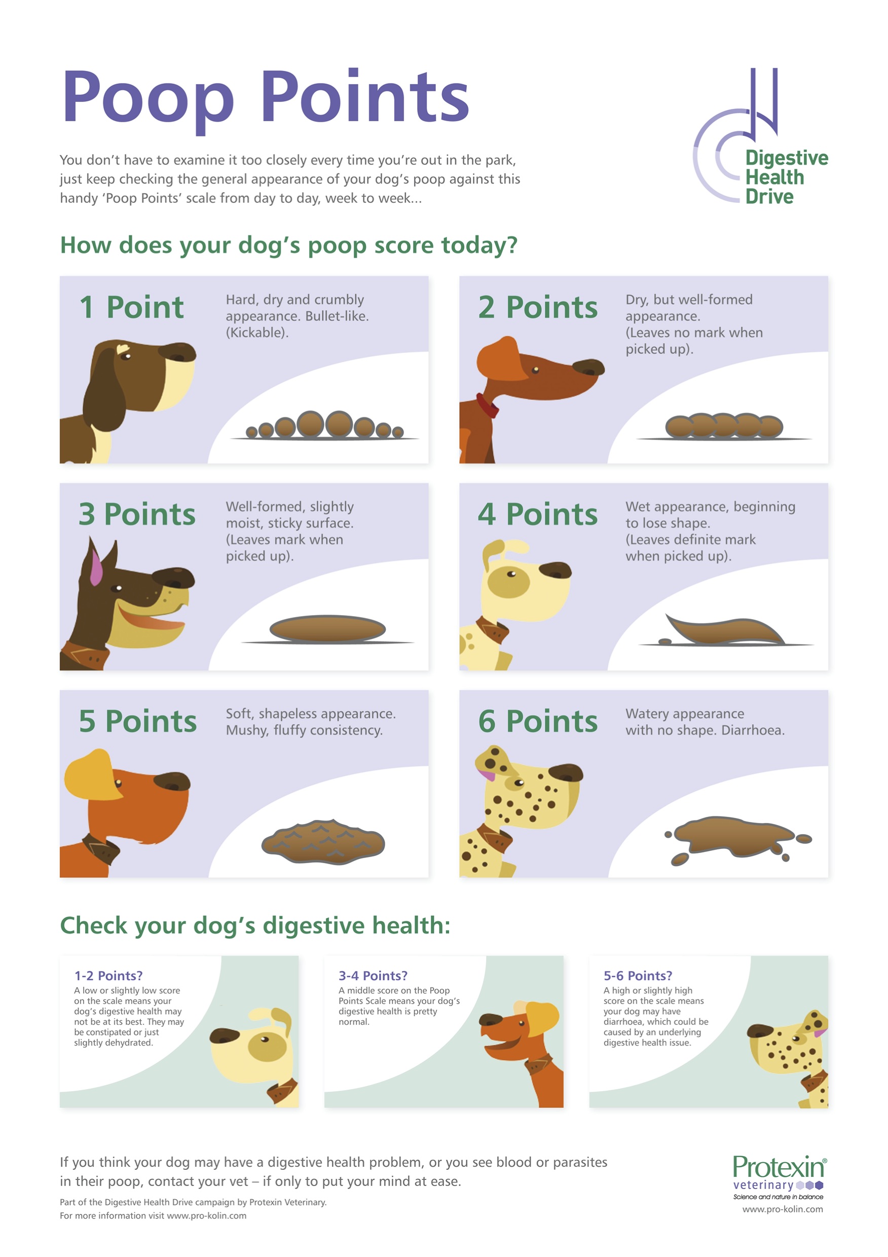 What does my dog's poop mean?