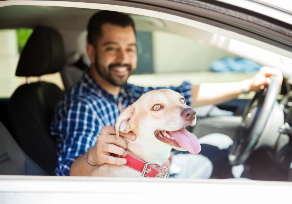 How Emotional Support Animals Help Cope With Anxiety