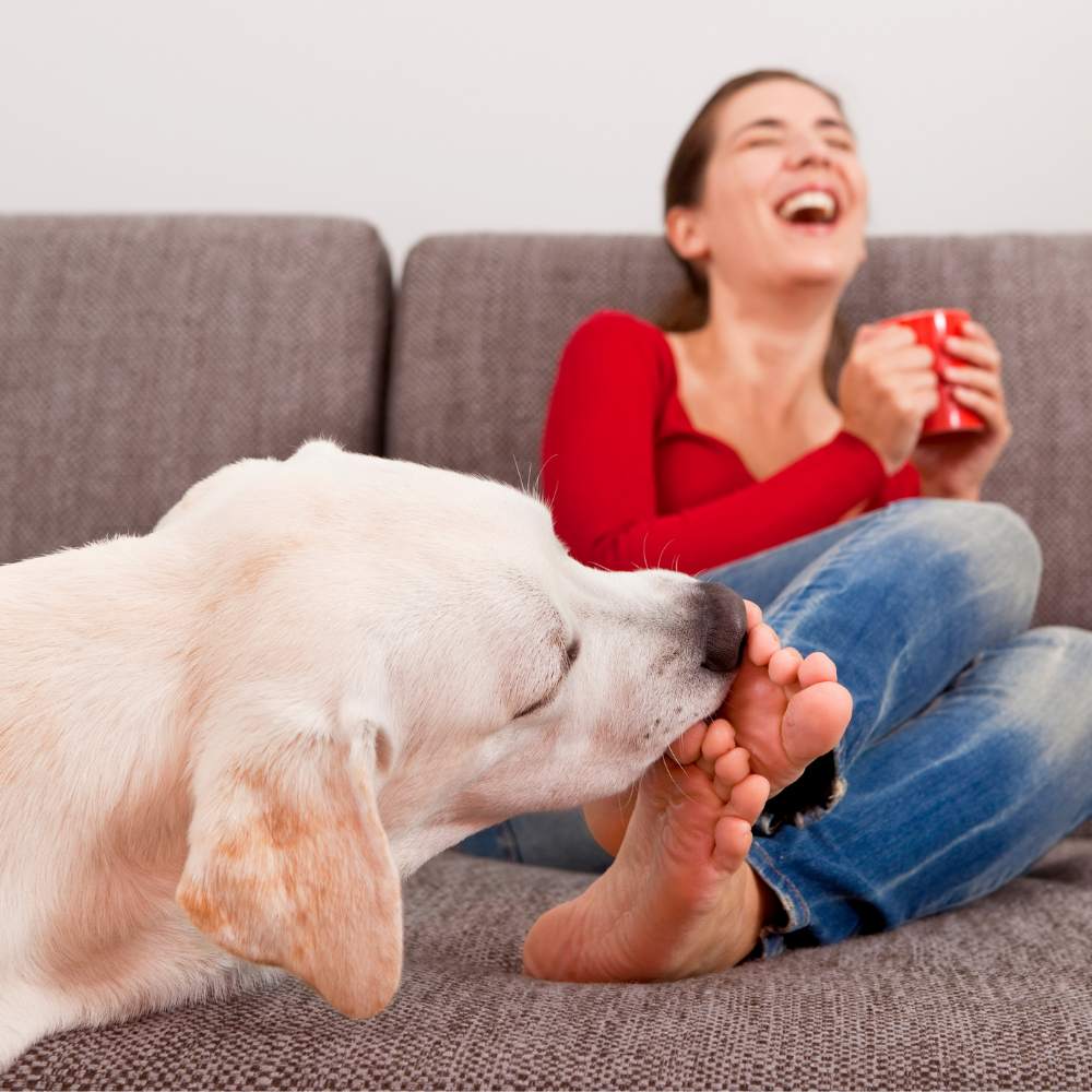 3 Ways Service Dogs Can Calm Anxiety