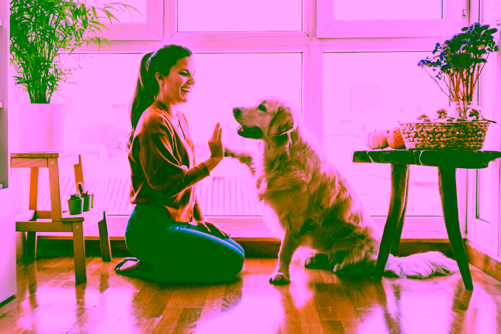 Psychiatric Service Dog training