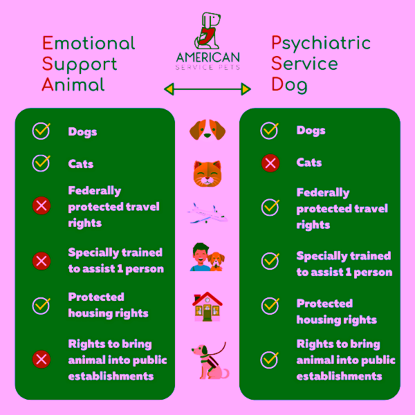 Emotional Support Animal vs Psychiatric Service Dog