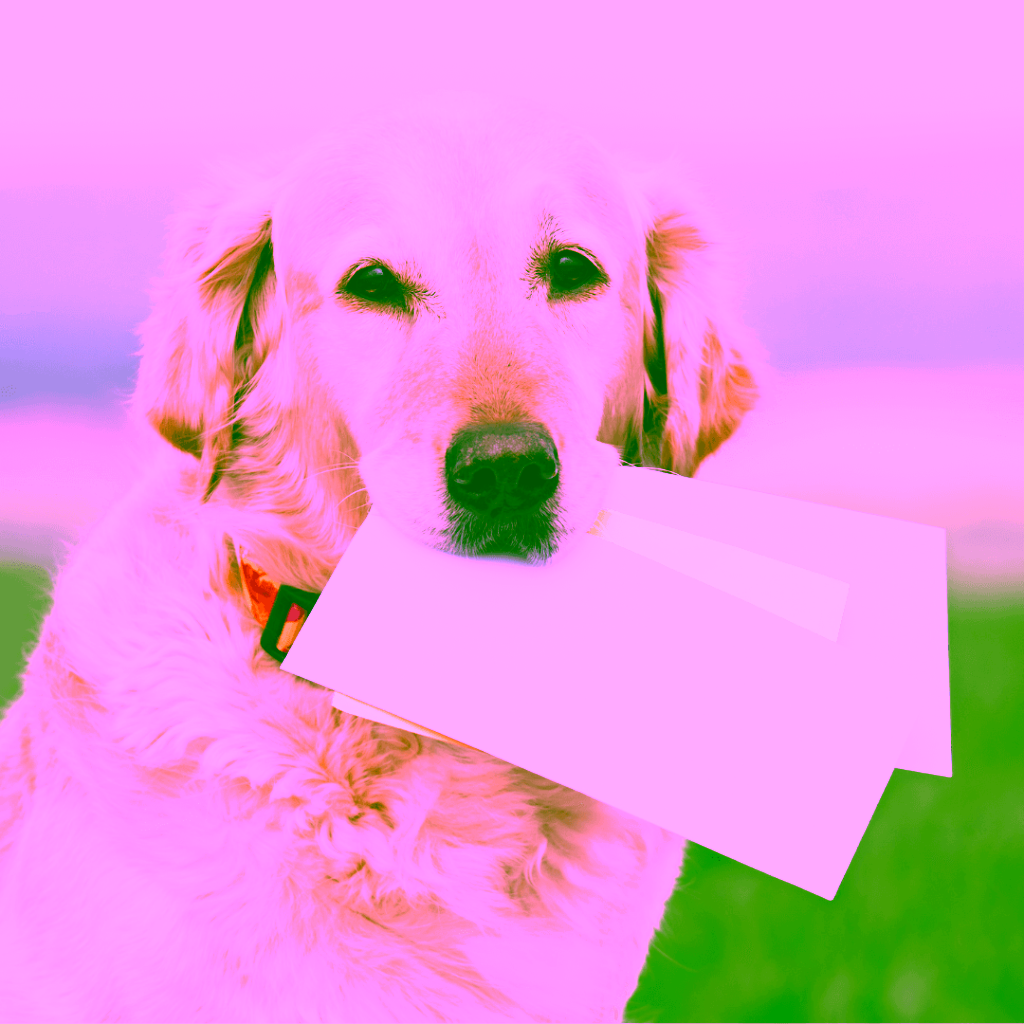 dog carrying your mail