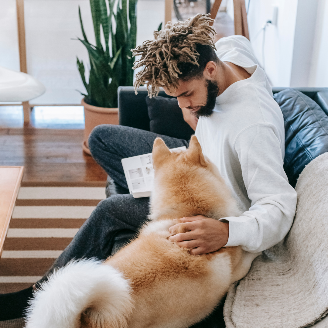 11 Ways to Get Your Dog to Trust, Love and Respect You