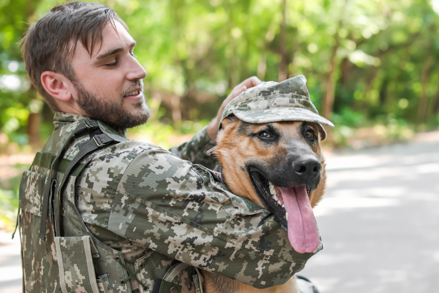 Service Dog and Veteran