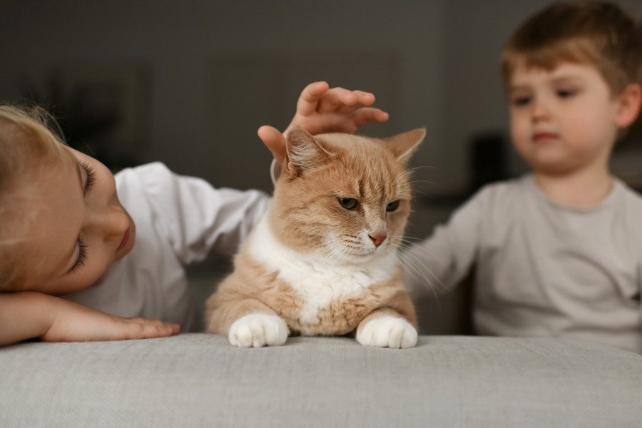 Children with Emotional Support Animals