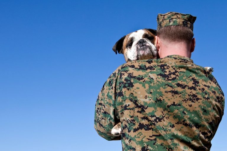 Can Service Dogs Help With PTSD? American Service Pets