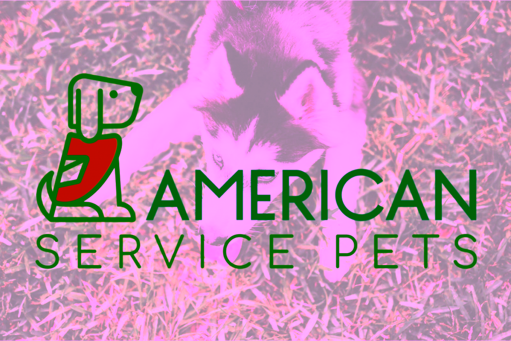 How To Get Your Emotional Support Animal Letter in Wisconsin with American Service Pets