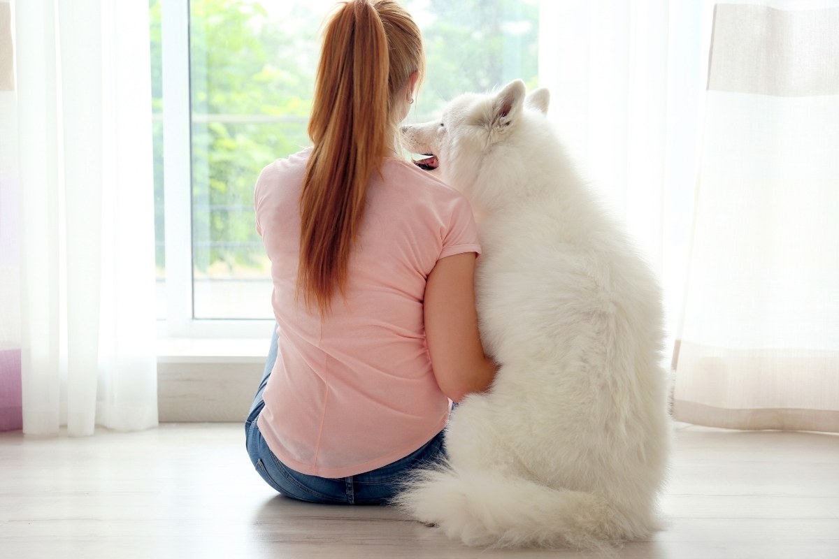 5 Ways to Prevent Separation Anxiety in Dogs