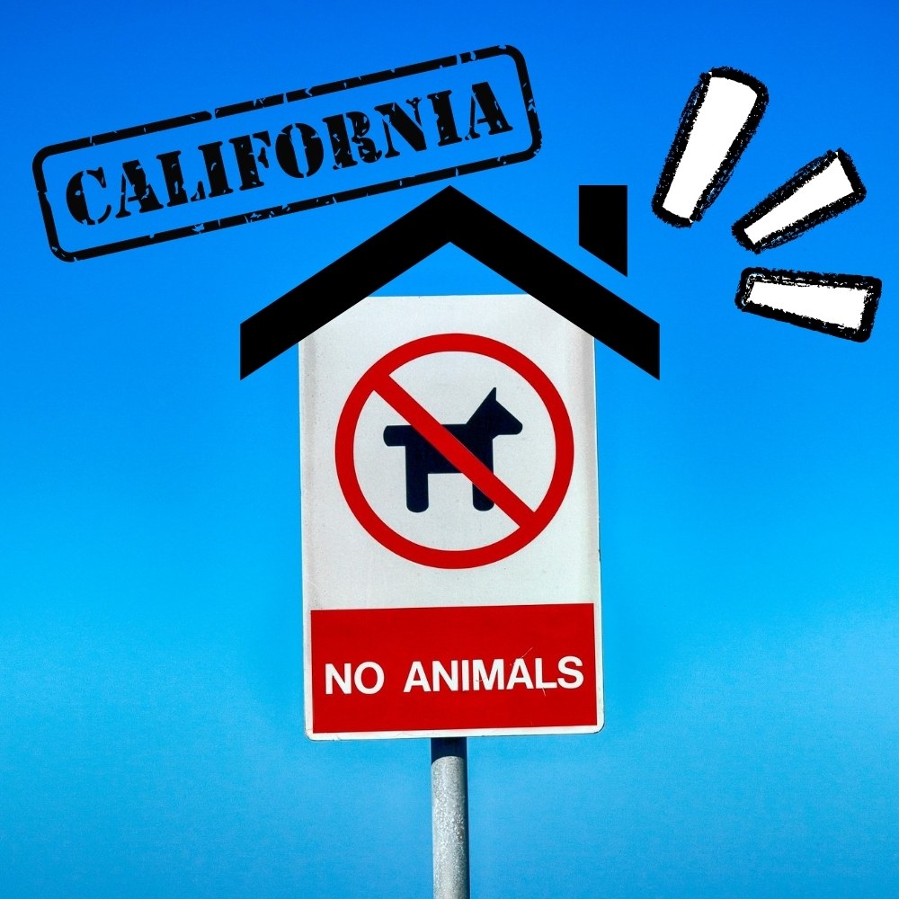 California ESA Owner Rights are at Risk: Act Now!