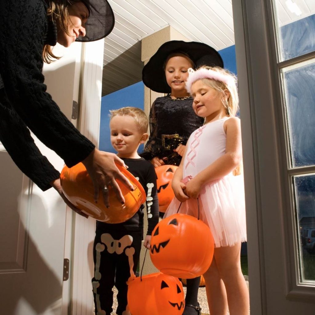 7 Tips to Keep Your Pet Safe on Halloween