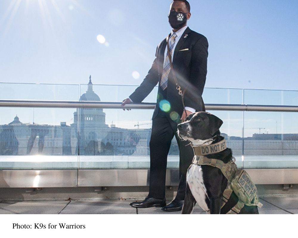 New PAWS Law Helps Veterans Obtain Service Dogs