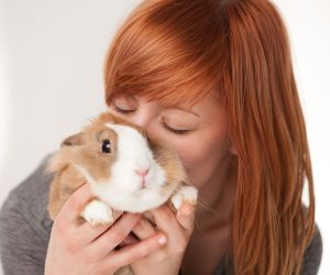 Cuddling a Pet Reduces Stress