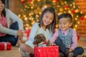 Giving Pets As Gifts: Pros and Cons