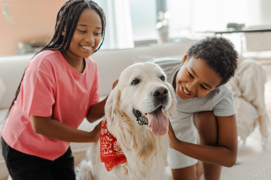 Best pets for kids