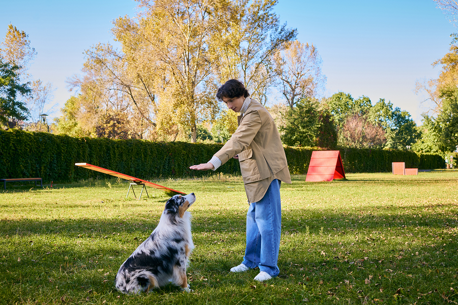 Human training service dog