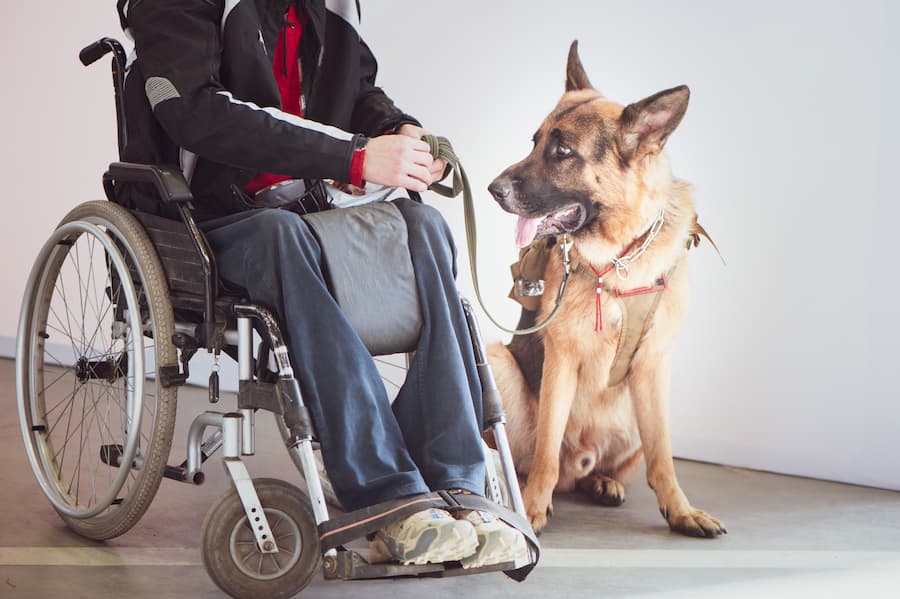 Disabilities that require service dogs