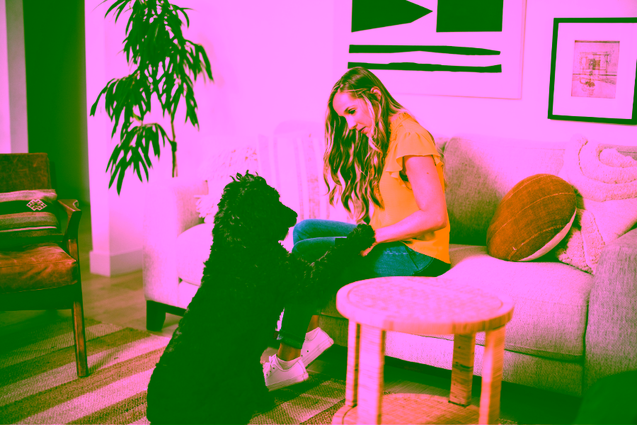What to Expect from a Service Dog in Training