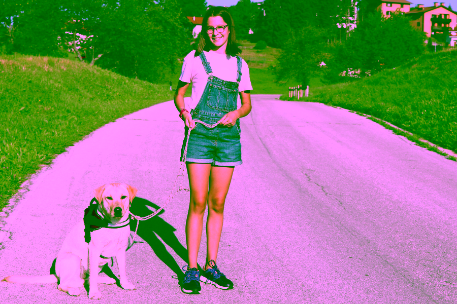 Can Someone with Autism have a Service Dog?