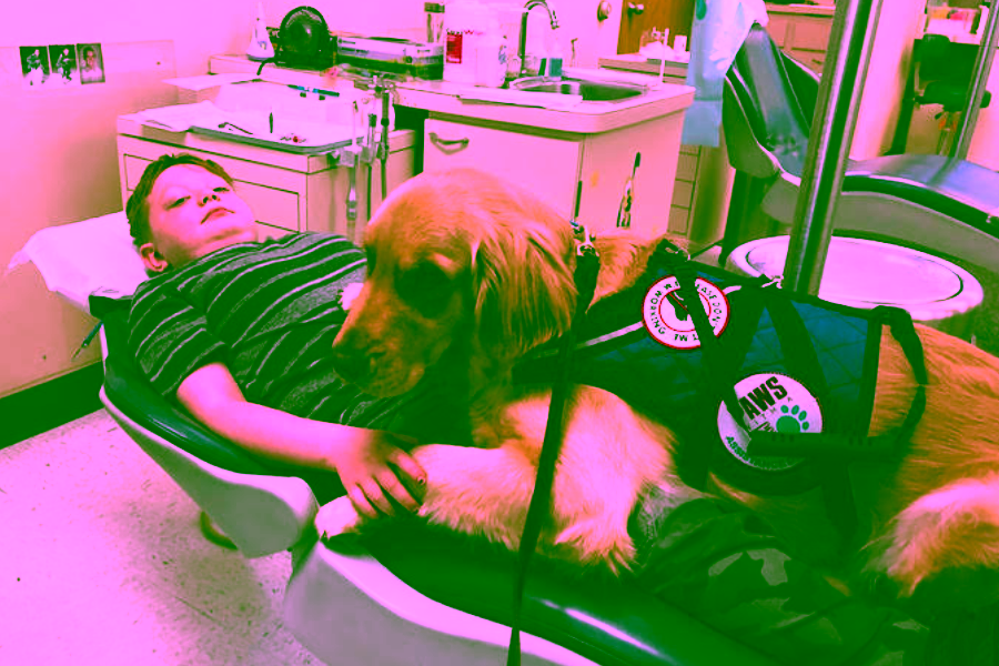 Can Someone with Autism have a Service Dog?