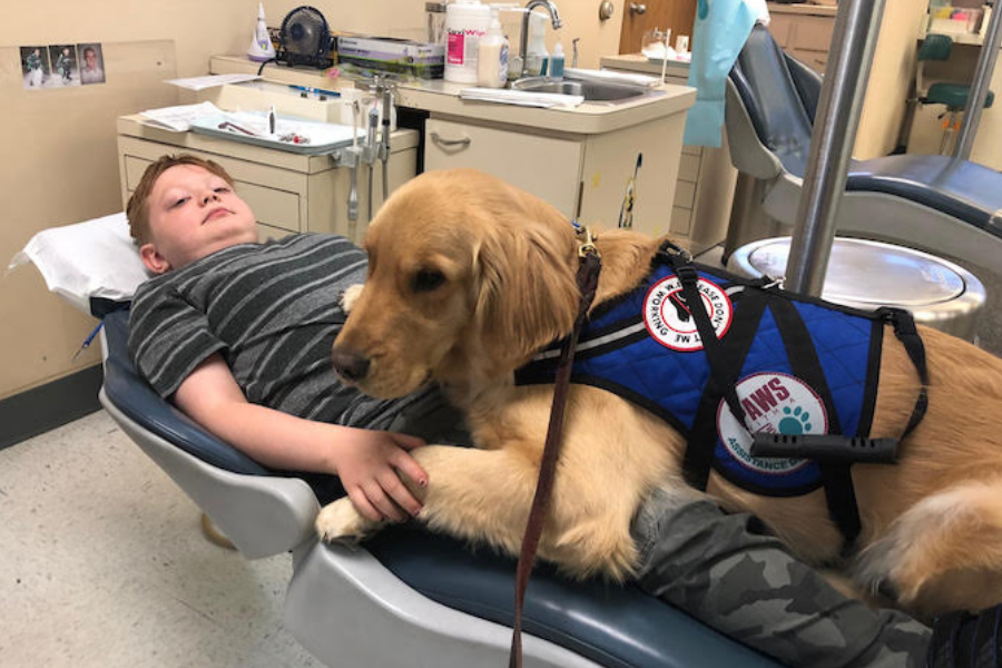 Can Someone with Autism have a Service Dog?