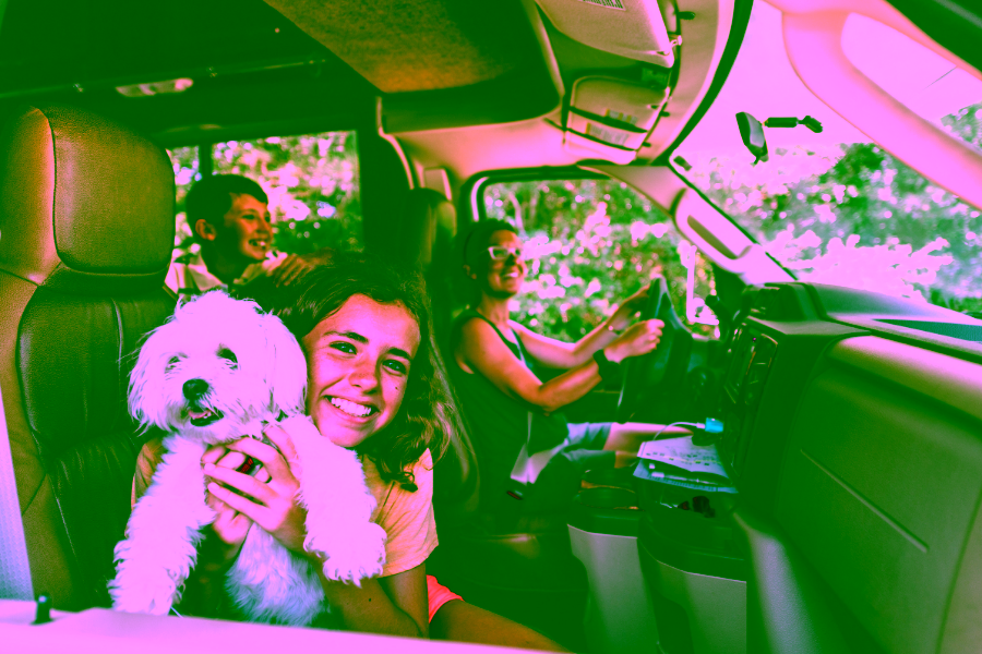 Summer Travel Tips for Pet Owners