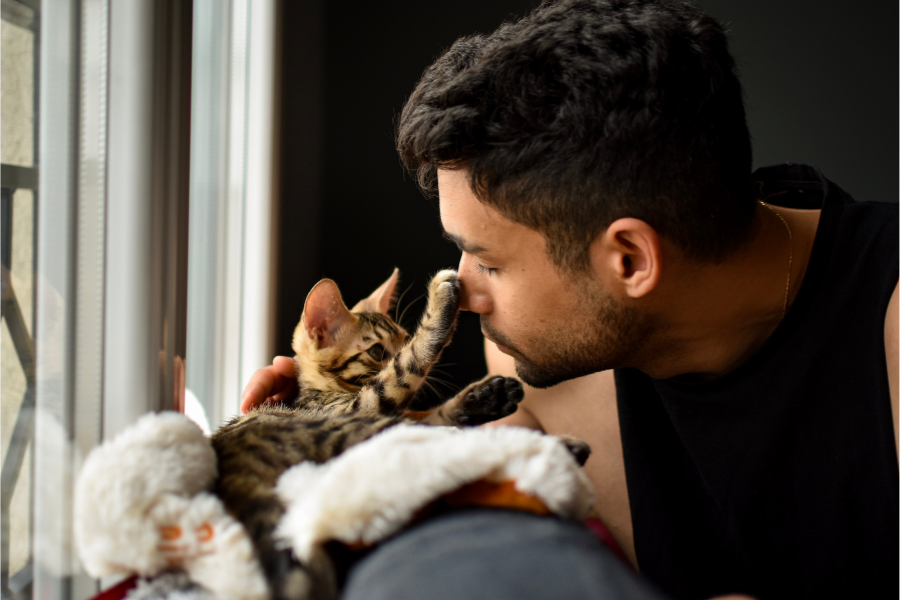 What Are the Best Cat Breeds for Emotional Support Cover