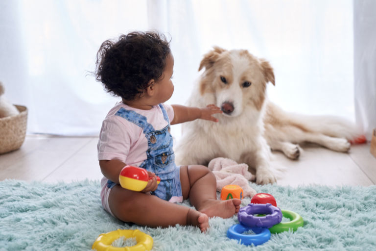Veterinarian Advice: How to Safely Introduce Your Pets to a New Baby