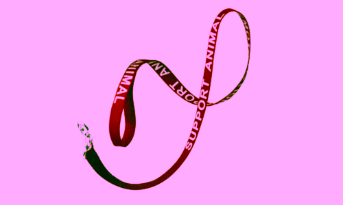 Support Animal Leash
