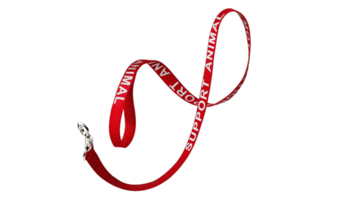 Support Animal Leash
