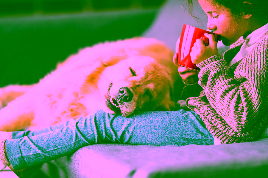 How Therapy Dogs and Emotional Support Animals Help After Global or Mass Tragedies