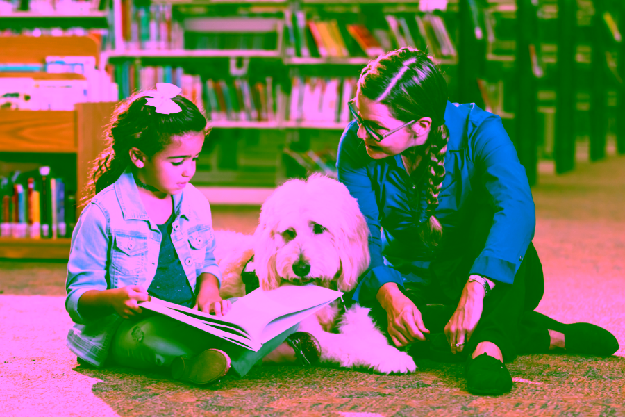 How Therapy Dogs and Emotional Support Animals Help After Global or Mass Tragedies