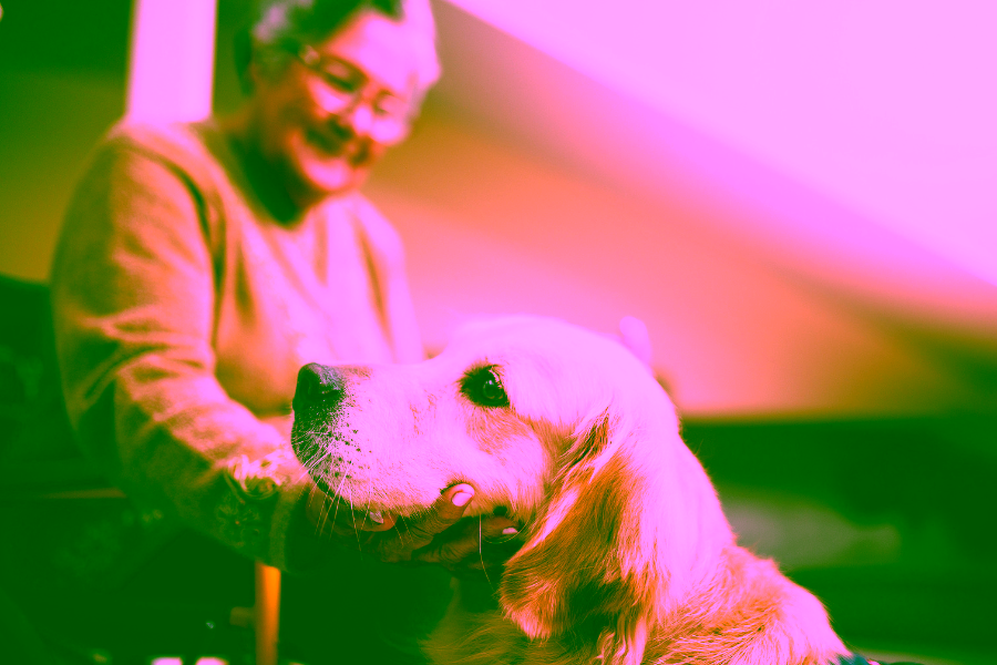 How Therapy Dogs and Emotional Support Animals Help After Global or Mass Tragedies