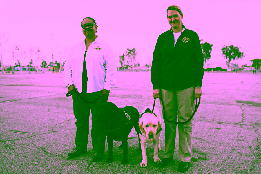 How Therapy Dogs and Emotional Support Animals Help After Global or Mass Tragedies