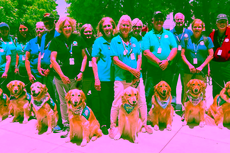 How Therapy Dogs and Emotional Support Animals Help After Global or Mass Tragedies