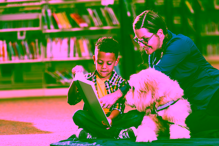 Basics of Self Training an Emotional Support Animal or Psychiatric Service Animal