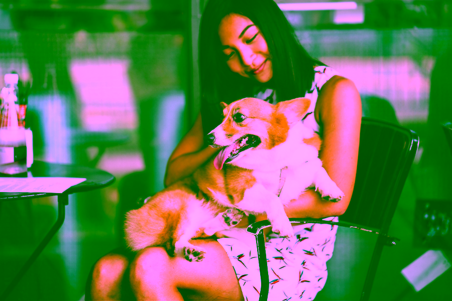 Pet Friendly Places in Los Angeles