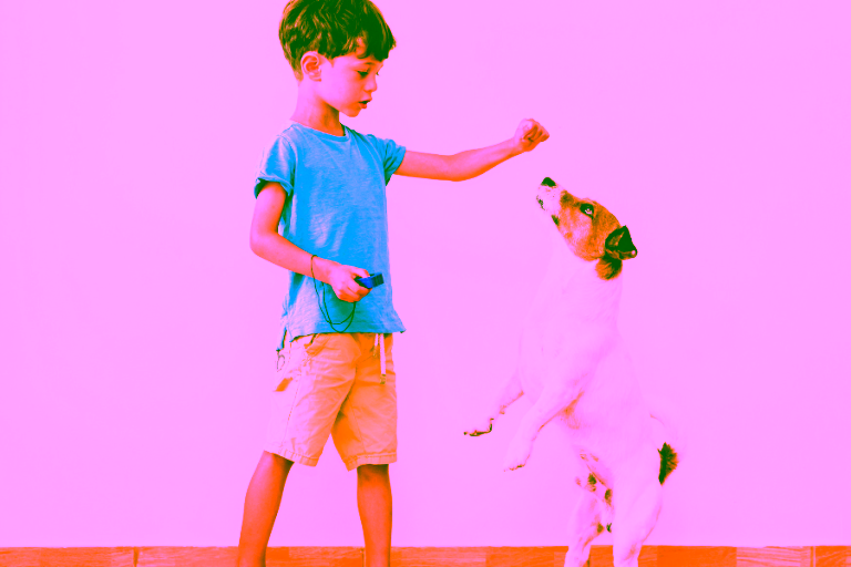 Basics of Self Training an Emotional Support Animal or Psychiatric Service Animal