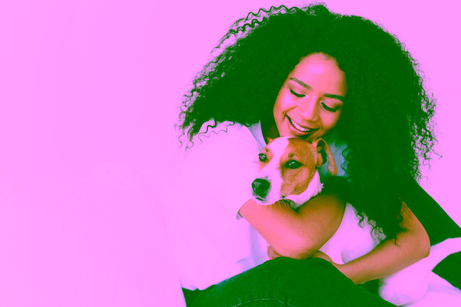 The First Five Skills to Teach a Psychiatric Service Dog in Training