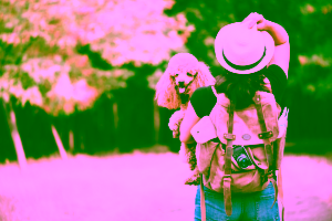 5 Most Common Dog Travel Myths
